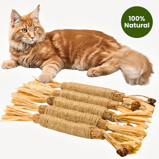 Pawriq Natural Silvervine Dental Sticks