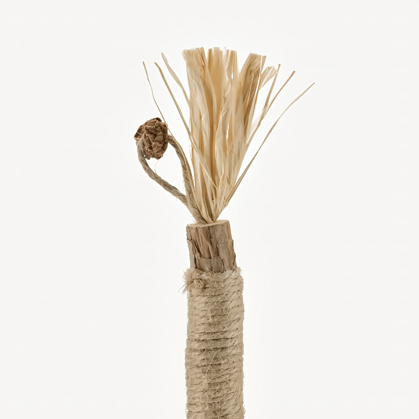 Pawriq Natural Silvervine Dental Sticks