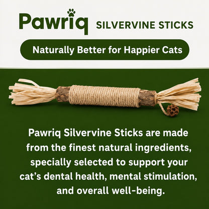Pawriq Natural Silvervine Dental Sticks